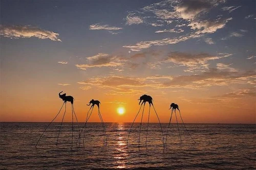 Tân Á Đại Thành trong hành trình tâm huyết kiến tạo khu đô thị sống hiện đại, đẳng cấp tại Phú Quốc