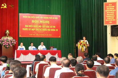 Nhiều ý kiến tâm huyết của cử tri gửi tới Quốc hội