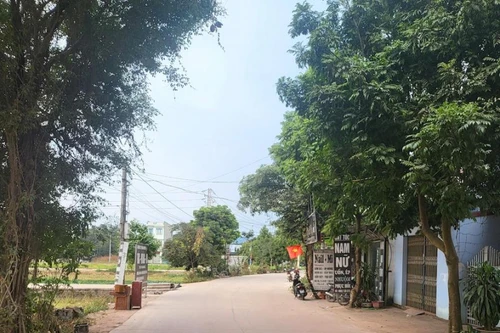 Huyện Lạng Giang quyết liệt xử lý hành vi khai thác, vận chuyển đất trái phép