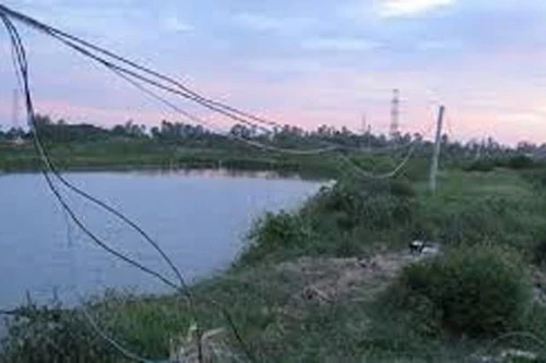 Tạm giữ hình sự đối tượng giăng lưới điện bẫy chuột làm chết người