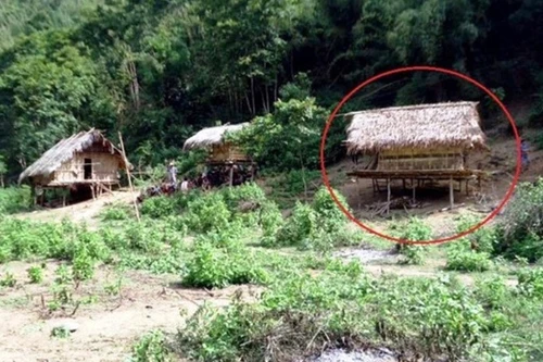 Xác định 2 nghi can vụ thảm án 2 cha con mất mạng ở rừng sâu