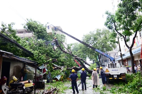 Cổ thụ bật gốc đè 3 nhà dân, nhiều người tháo chạy