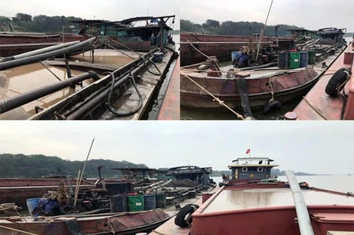 Đi săn “vòi bạch tuộc” dưới lòng sông