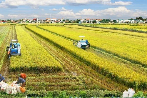 Nhiệm vụ quan trọng hàng đầu để mang lại cuộc sống hạnh phúc cho nhân dân 