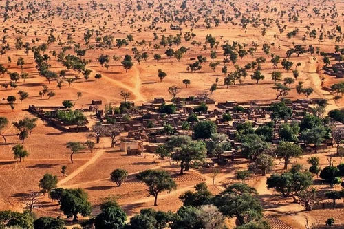 Dùng trí tuệ nhân tạo để đếm cây, đo “sức khỏe” hành tinh 