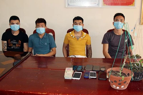 Cảnh báo các loại tội phạm hoạt động trong mùa dịch