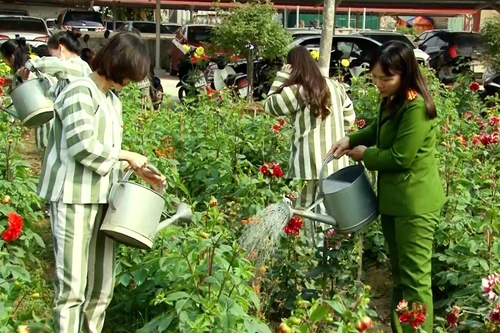 Khơi mầm thiện cho những cuộc đời lầm lỗi 