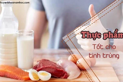 Thực phẩm nào tốt cho tinh trùng?
