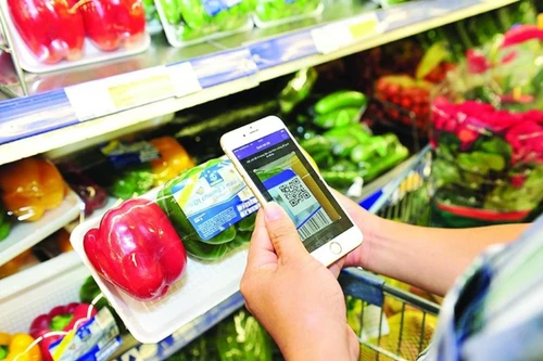 Nền kinh tế số của Việt Nam được đánh giá cao 