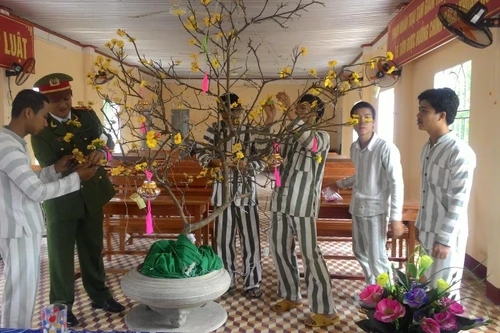 Nghị định: Quy định chi tiết thi hành một số điều của Luật Thi hành án hình sự 