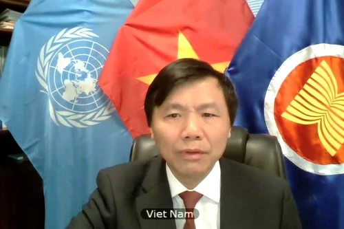 Việt Nam quan ngại về vấn đề sử dụng vũ lực trong luật pháp quốc tế