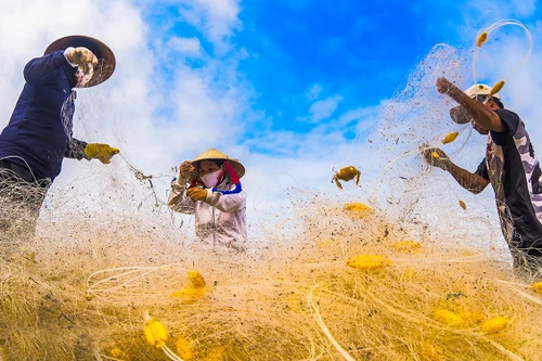 Bức tranh thiên nhiên tuyệt đẹp nơi cửa biển 