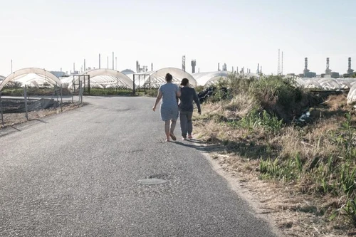 Nỗi lòng khó nói của nữ công nhân hái dâu ở Tây Ban Nha