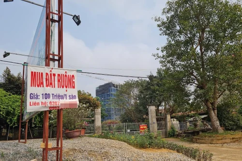 “Sốt” đất 2 bờ sông Hồng: Nguy cơ “chết chìm” vì chạy theo “sóng” ảo