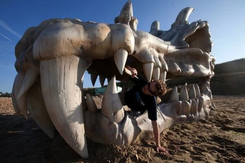 Sọ rồng khổng lồ xuất hiện trên bãi biển