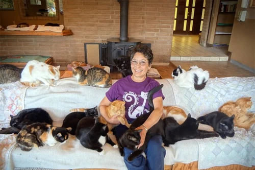 Người phụ nữ làm bạn với 1000 con chó, mèo