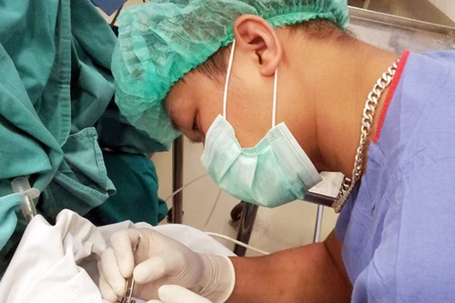 Những người chuyển giao ánh sáng