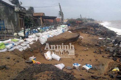 Triều cường “nuốt chửng” hơn 100m đường và kè rọ đá, đe doạ nhà dân