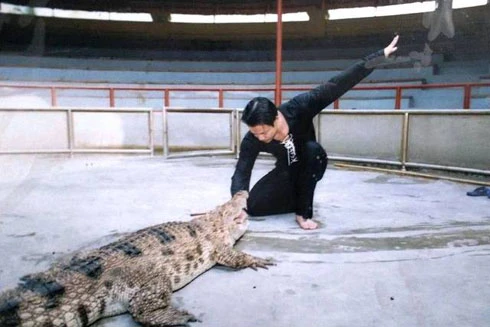 Xiếc mạo hiểm không phải chỉ để... giật gân