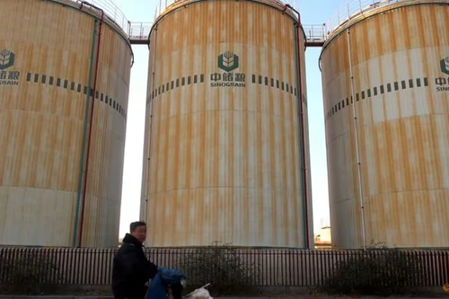 Trung Quốc điều tra cáo buộc dùng xe chở nhiên liệu vận chuyển dầu ăn