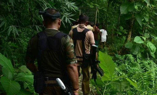 Ấn Độ dùng máy bay không người lái bắt sói hoang ăn thịt người