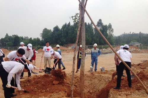 Trồng 700.000 cây phủ xanh 3 tuyến đường cao tốc