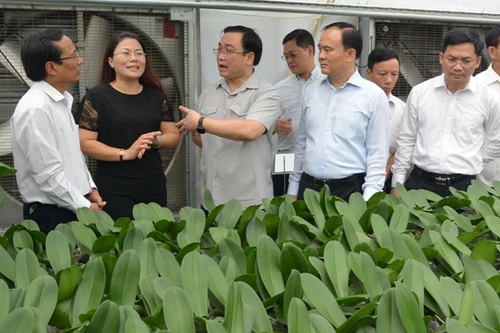 Bí thư Thành ủy Hoàng Trung Hải: Thế mạnh lớn nhất của Đan Phượng là con người