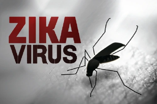 Bệnh Zika tái xuất ở Việt Nam với 1 ca mắc tại mới