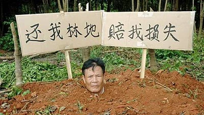 Tự chôn mình giữ đất rừng