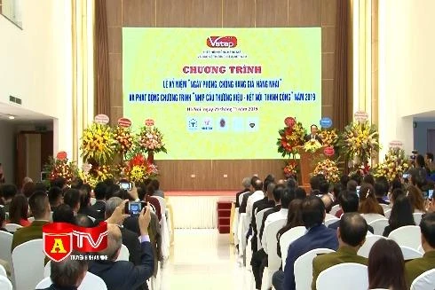 Cần có những giải pháp hữu hữu hiệu trong phòng chống hàng giả