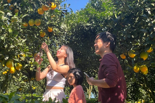 Việt Nam sẽ thuộc nhóm 30 quốc gia có năng lực cạnh tranh du lịch hàng đầu thế giới?