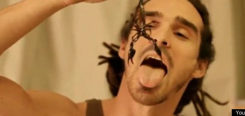 Liều mình ăn bọ cạp sống