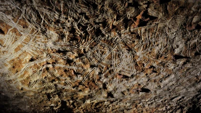 Phát hiện bút tích trẻ em thời tiền sử