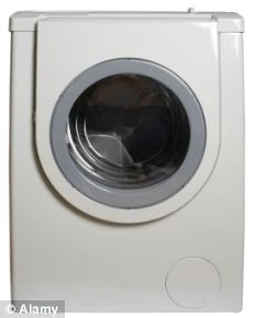 Anh sinh đôi vô tình giết chết em trong máy sấy quần áo