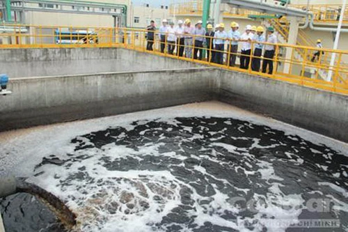 Lập hội đồng đánh giá việc khắc phục hậu quả vi phạm của Formosa