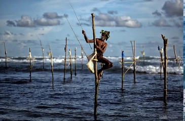 Hành trình xuyên Sri Lanka qua các bức ảnh