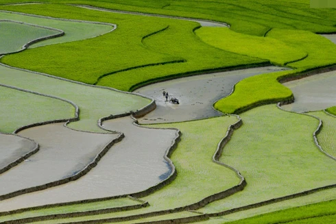 Cuộc thi nhiếp ảnh trong nước: Thiếu hấp dẫn ngay từ tên gọi