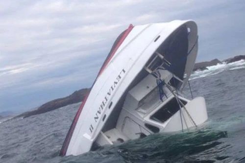 Đắm thuyền ngắm cá voi, 5 người thiệt mạng