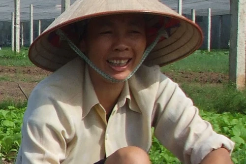 Dồn điền đổi thửa giúp thay đổi tư duy sản xuất 