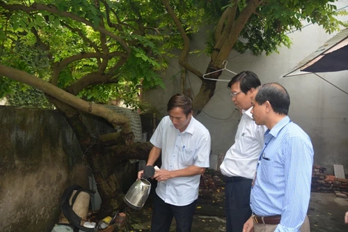 Hà Nội: Sau phun thuốc diệt muỗi sốt xuất huyết, bọ gậy đã giảm