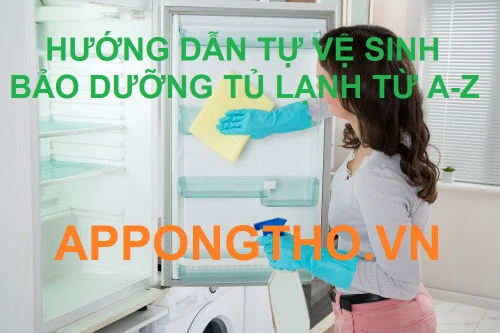 Dịch vụ vệ sinh bảo dưỡng tủ lạnh uy tín, chuẩn quy trình