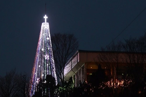 Hàn Quốc hủy kế hoạch dựng lại cây Giáng sinh gần biên giới Triều Tiên