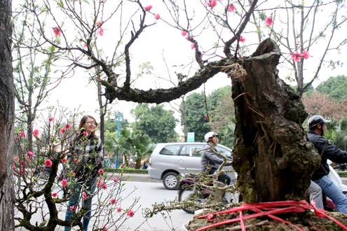Nghèo khó vẫn "mạnh tay" mua sắm mệt nghỉ cho ngày Tết