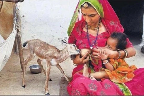 Giật mình xem Bộ luật đạo đức của người da đỏ 