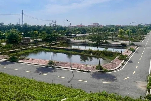 Hà Nội: Nhiều huyện ngoại thành chuẩn bị đấu giá đất, giá khởi điểm 7,3 triệu/m2