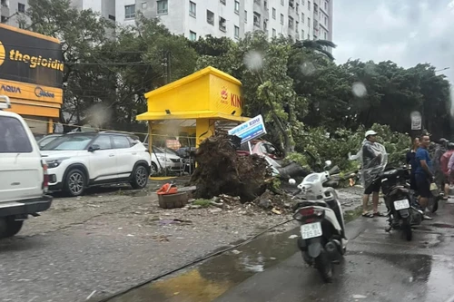 Bão số 3 đổ bộ vào đất liền Quảng Ninh- Hải Phòng, gió giật cấp 17