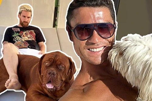 [ẢNH] Ronaldo, Messi, Neymar và những ngôi sao bóng đá hết lòng yêu loài chó