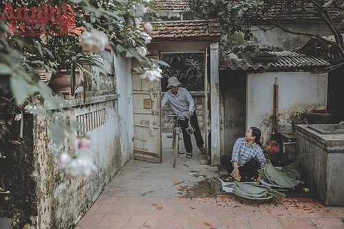 Mẹ ơi! Tết này con sẽ về