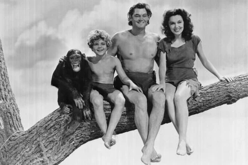 Tinh tinh Cheetah qua đời ở tuổi 80