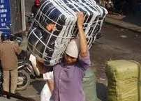 Câu chuyện hoa hồng của những "nữ cửu vạn"